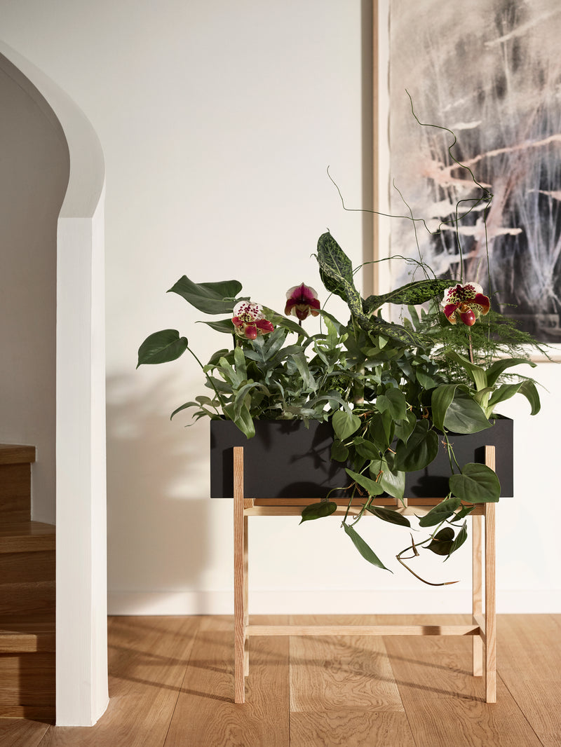 Botanic Collection – Design House Stockholm
