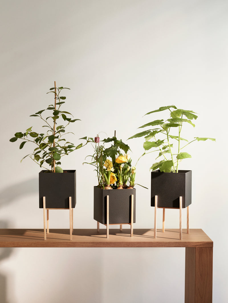 Botanic Collection – Design House Stockholm
