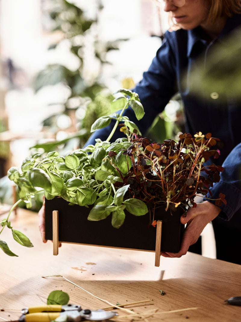 Botanic Collection – Design House Stockholm